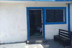 eine blaue Tür mit einem Fenster in einem Gebäude in der Unterkunft Apto Yori: amplio y equipado. in Mérida