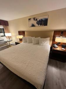 Afbeelding uit fotogalerij van Anchorage Inn Rochester in Rochester