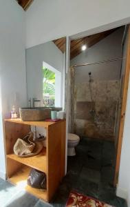 ein Bad mit einem Waschbecken, einem WC und einer Dusche in der Unterkunft Vom Vom Garden House in Đà Nẵng