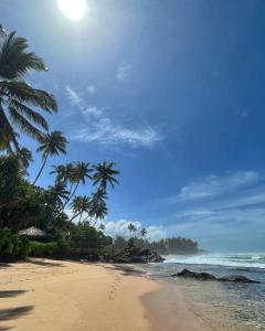 uma praia arenosa com palmeiras e o oceano em Satin Doll em Unawatuna