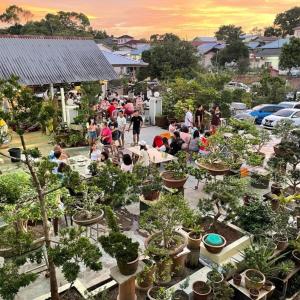 um grupo de pessoas em torno de um monte de plantas em Bonsai Homestay Kluang - B17 em Keluang