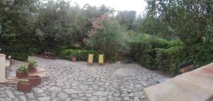 a garden with a stone patio with plants and trees at Bilocale a due passi dal mare immerso nel verde in Castiglioncello