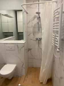 a white bathroom with a shower and a toilet at Apartment Fontanu Namai in Vilnius