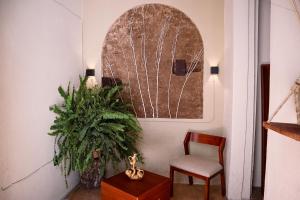un salon avec une chaise et une plante dans l'établissement Real Santuario, à Guadalajara