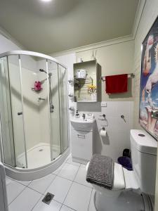 a bathroom with a shower and a toilet and a sink at Westside Studio Apartments in Armidale