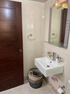 Apartamento Amplio en Residencial de 2 Habitaciones في Mendoza: حمام مع حوض ومرآة