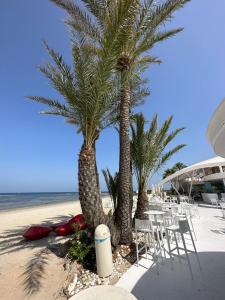 dos palmeras y sillas en una playa en Carla II View Apartment, en La Manga del Mar Menor