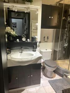 a bathroom with a sink and a toilet at Appartement - Chic et Cosy à 30 minutes de Paris et 25 minutes de Disney in Ozoir-la-Ferrière