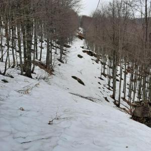 a snow covered path in a forest with trees at Rilassati al Corno alle Scale in Vidiciatico