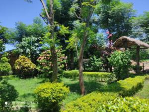 um jardim com árvores e arbustos e uma casa em Tiger Land Homestay em Bhurkīā