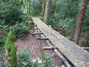 een houten brug in het midden van een bos bij Pied de Mouton in Comblessac