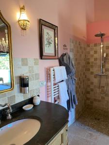 a bathroom with a sink and a shower at Le Pré de l'Aube in Montjoyer