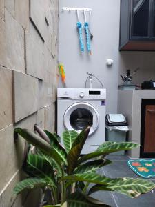 a washing machine in a kitchen with a plant at Family Villa Syariah C-33 with minipool in Batu