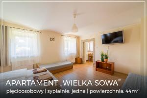 salon z kanapą i telewizorem w obiekcie Apartament Wielka Sowa w mieście Głuszyca Górna