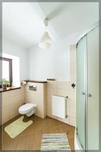 łazienka z toaletą i prysznicem w obiekcie Apartament Wielka Sowa w mieście Głuszyca Górna