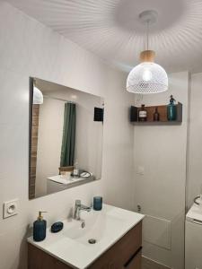 a bathroom with a sink and a mirror at Entre vignes et montagnes in Ayse