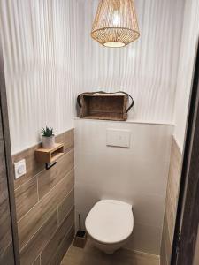 a small bathroom with a toilet and a light at Entre vignes et montagnes in Ayse