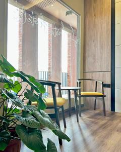 une chambre avec deux chaises, une table et une plante dans l'établissement I-VISTA HOTEL, à Tawau