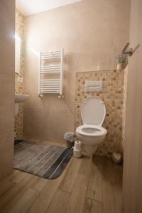 baño con aseo blanco en una habitación en Panorama Luxury Apartment, en Oradea