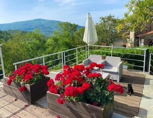 un patio con flores rojas y una sombrilla blanca en Agriturismo Vezzano, en Chiusi della Verna