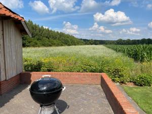 a grill sitting outside of a house next to a field at Scholtefleer in De Lutte