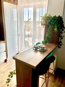 een houten tafel met planten in een kamer bij Jacuzzi Apartment in Baia Mare