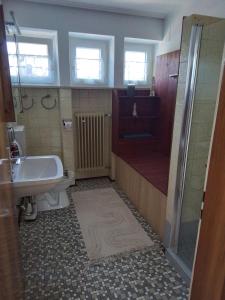 La salle de bains est pourvue d'une douche, de toilettes et d'un lavabo. dans l'établissement Ferienwohnung Auszeit, à Anger