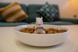 Majorelle Splendide Appartement في مراكش: وعاء من الطعام مع لعبة القطط فيه