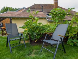due sedie sedute nell'erba in un cortile di Maison chaleureuse avec son bain enchanté ! a Mesnil-Saint-Père