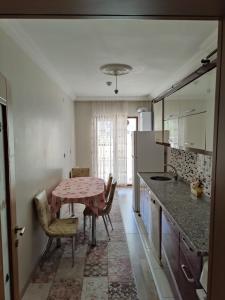 Kuchyň nebo kuchyňský kout v ubytování Onur apartman