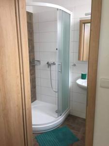 een badkamer met een douche, een toilet en een wastafel bij Chata Mamutka-New in Loučná pod Klínovcem
