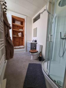 a bathroom with a toilet and a glass shower at Maison le trèfle in Chef-Boutonne