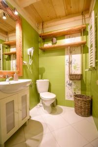 uma casa de banho verde com um WC e um lavatório em Tatra Góral Ski Apartament em Murzasichle