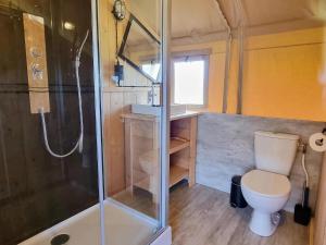 y baño con ducha, aseo y lavamanos. en Luxury glamping with private bathroom near the Frisian waters en De Veenhoop