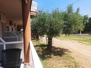 サルティにあるHouse Michalisの家の玄関に座る木