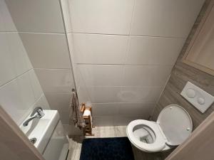 a small bathroom with a toilet and a sink at COZY apartment in GREAT location in Košice +15 photos