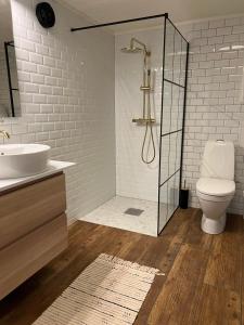 een badkamer met een douche, een wastafel en een toilet bij Segla bed & go in Fjordgård