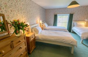 a bedroom with two beds and a dresser with a mirror at Bears Cottage in Moelfre