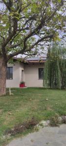 a white house with a tree in front of it at La Morra 66 in La Morra