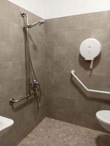 ein Bad mit einer Dusche, einem Waschbecken und einem WC in der Unterkunft Chambre d'hôtes PMR Hildegarde in Moissac