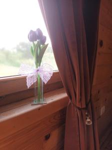 um vaso de flores sentado no peitoril da janela em Bungalovi Malina em Novi Sad