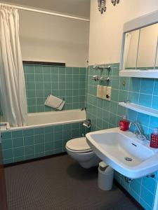 een badkamer met een wit toilet en een wastafel bij Ruhige Ferienwohnung in Schönwald in Schönwald