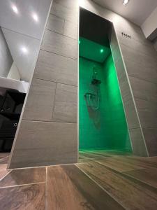 baño con ducha con pared verde en Apartment Bacci, en Vrhnika