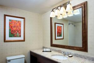 Ένα μπάνιο στο Embassy Suites Parsippany