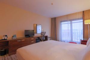 a hotel room with a bed and a television at Hilton Garden Inn Eskisehir in Eskisehir