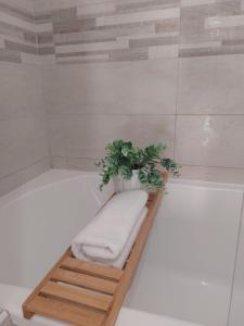 a bathtub with a wooden shelf with a plant in it at B & B Piazza Angioina in LʼAquila