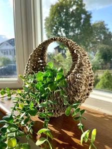 a plant in a basket sitting on a window sill at Stylish Four Bed City Retreat in Birmingham