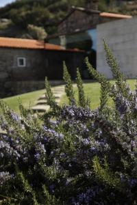 Zahrada ubytování Gerês - Leiras do Tempo - Cottages