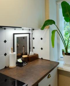 a bathroom with a counter with a mirror and a plant at Petite City Centre Apartment in Šiauliai