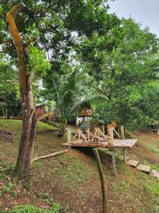 un banc en bois assis à côté d'un arbre dans l'établissement Isla Del Antoño, à Cavinti